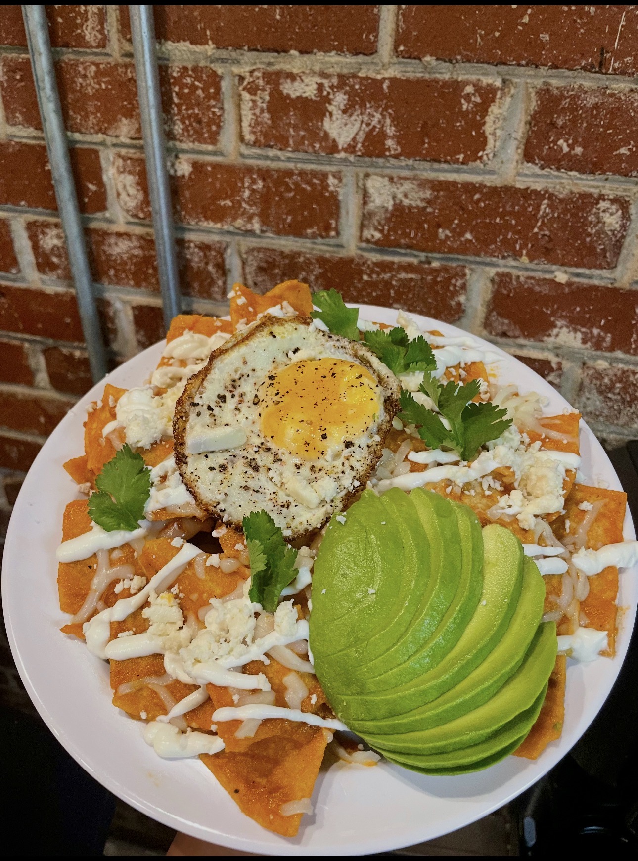 Red chilaquiles topped with a fried egg, queso fresco and sliced avocado